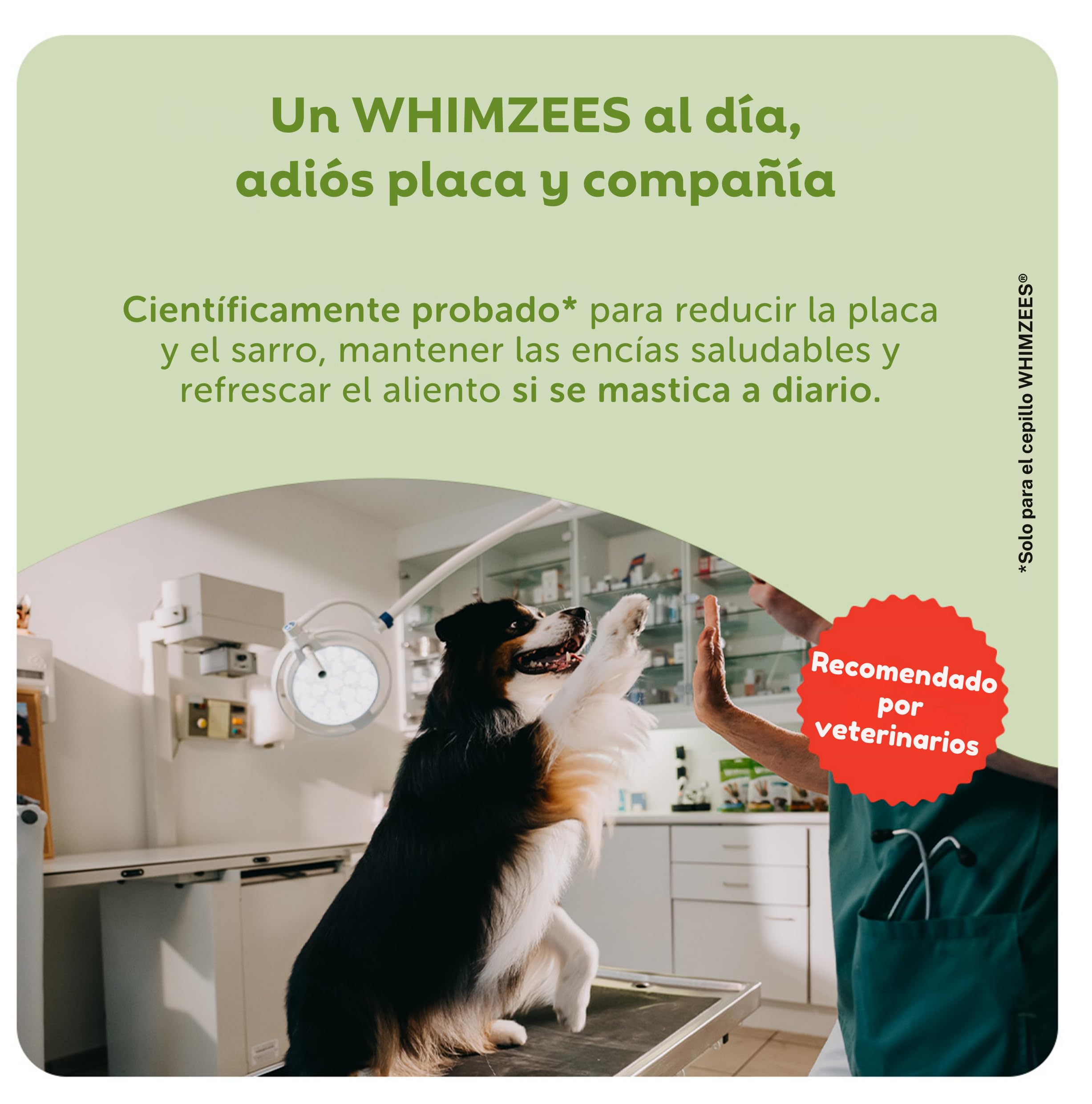 WHIMZEES Cepillos de Dientes L, Caja Mensual, 30 Piezas – Talla L, Golosinas para Perros Grandes, Naturales y Sin Cereales, Vegetarianas, Sin Azúcares Añadidos