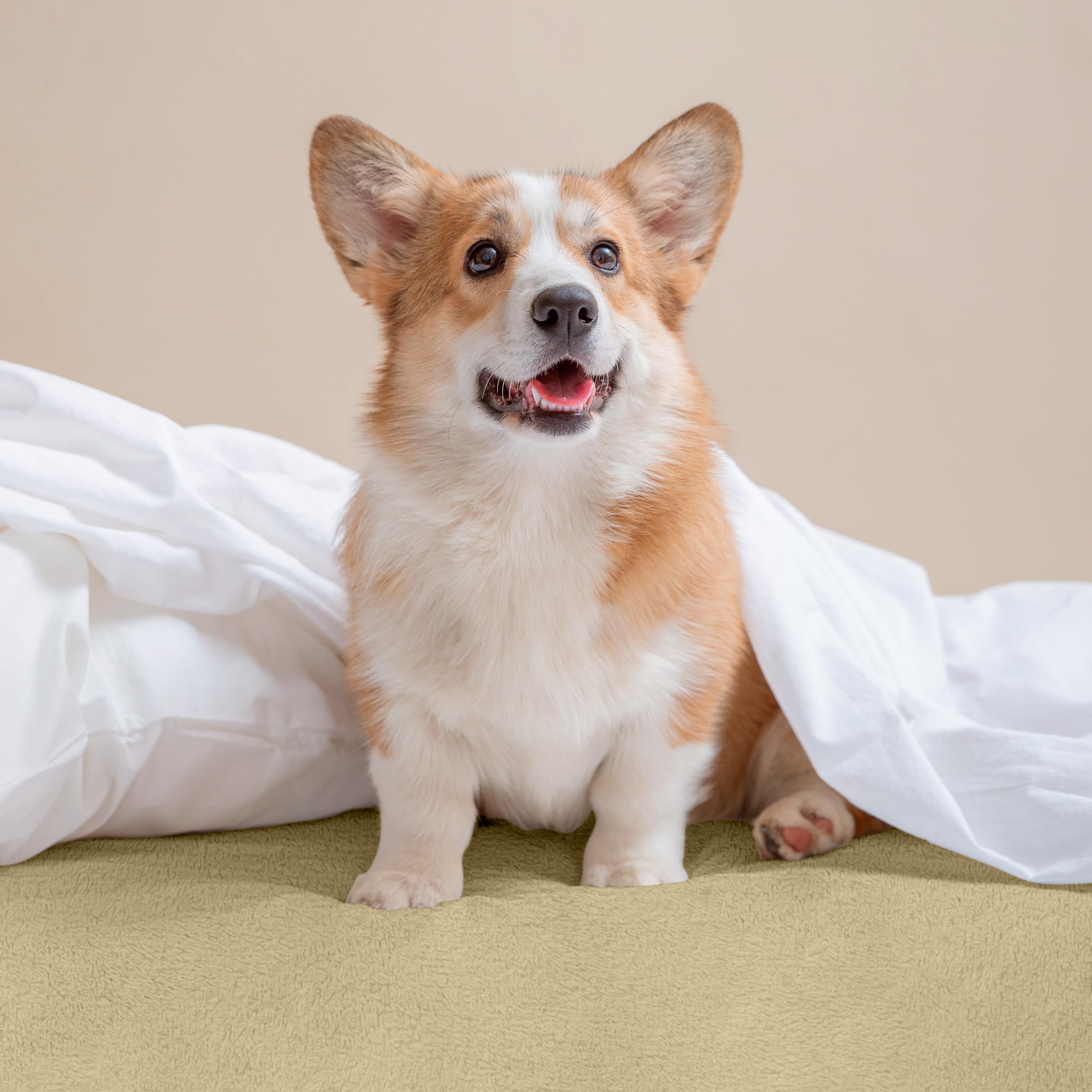 Utopia Bedding Coprimaterasso Matrimoniale Impermeabile 140 x 200 x 30 cm beige, Viscosa, Oeko-Tex Certified, Proteggi Materasso, Traspirante, Tutto Intorno Elastico