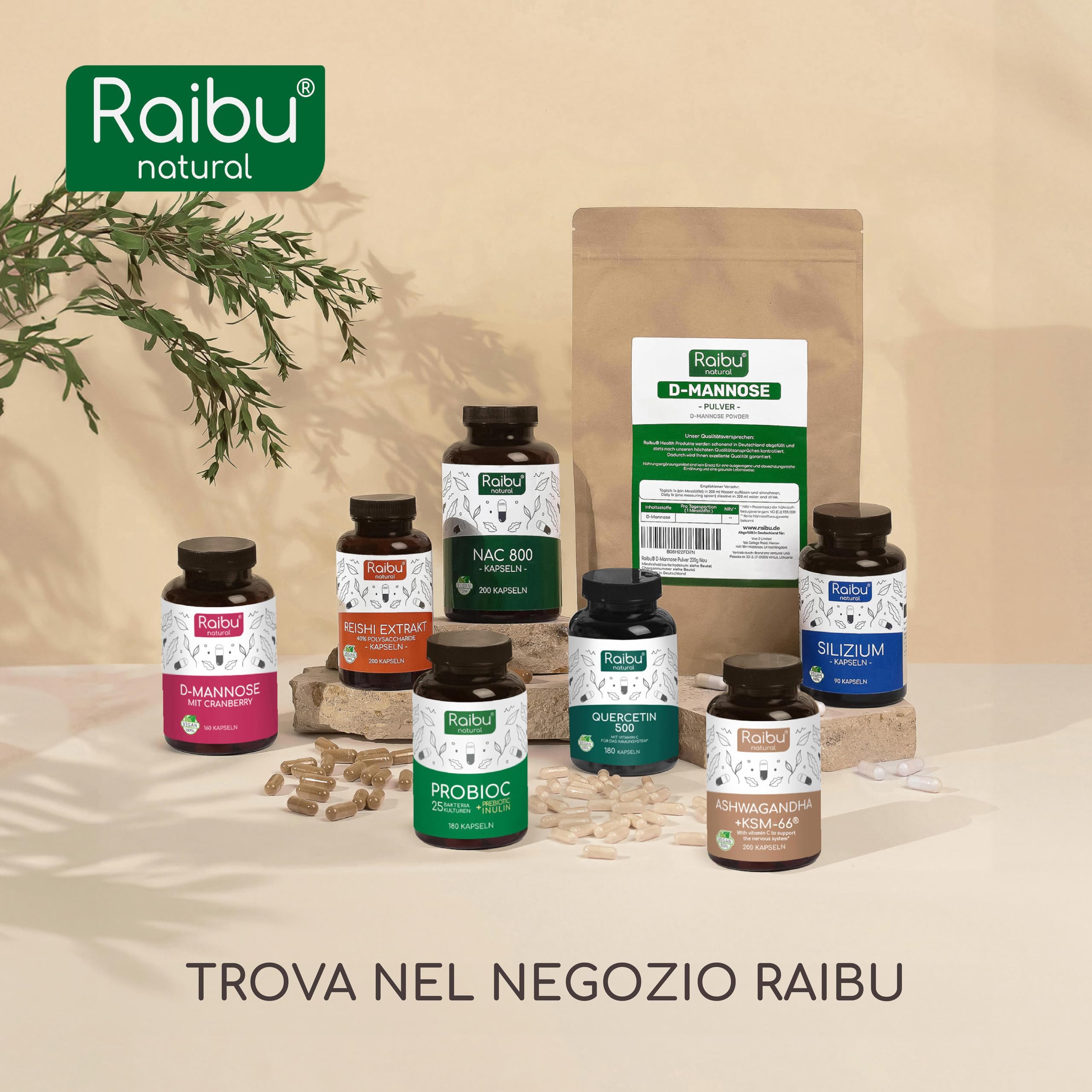 Quercetina 500 mg Pura – 180 Capsule (6 MESI di Fornitura) I 95% di Contenuto di Quercetina I Estratto di Sophora Japonica I Integratore di Flavonoidi I Testato in Laboratorio e Vegano, Raibu