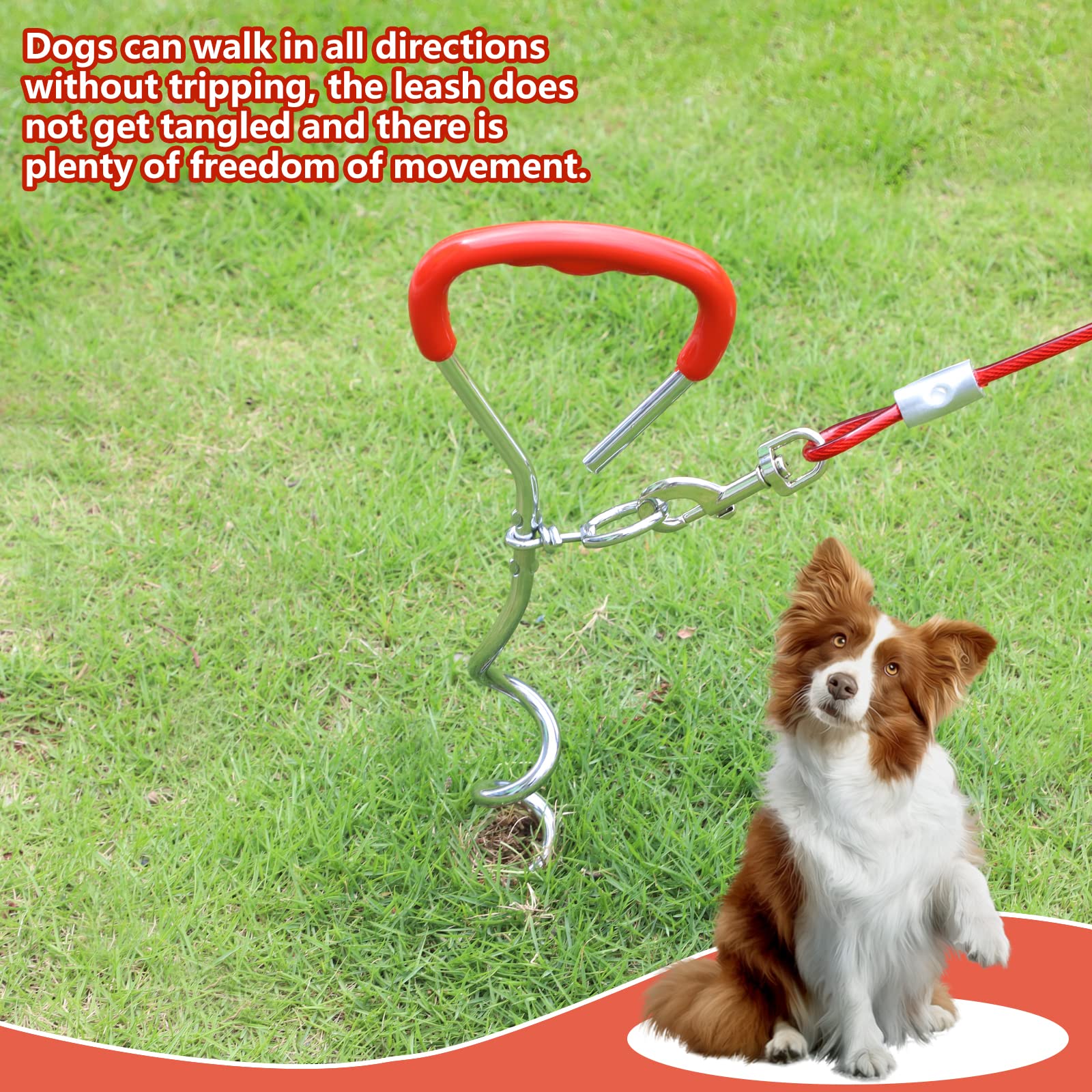 EFUTURETIME Estaca en Espiral de Acero Inoxidable Cromada, Cable de Amarre para Perros de 6m, Puede Girar 360° sin Atascarse, Ideal para Patios, Campings y Parques