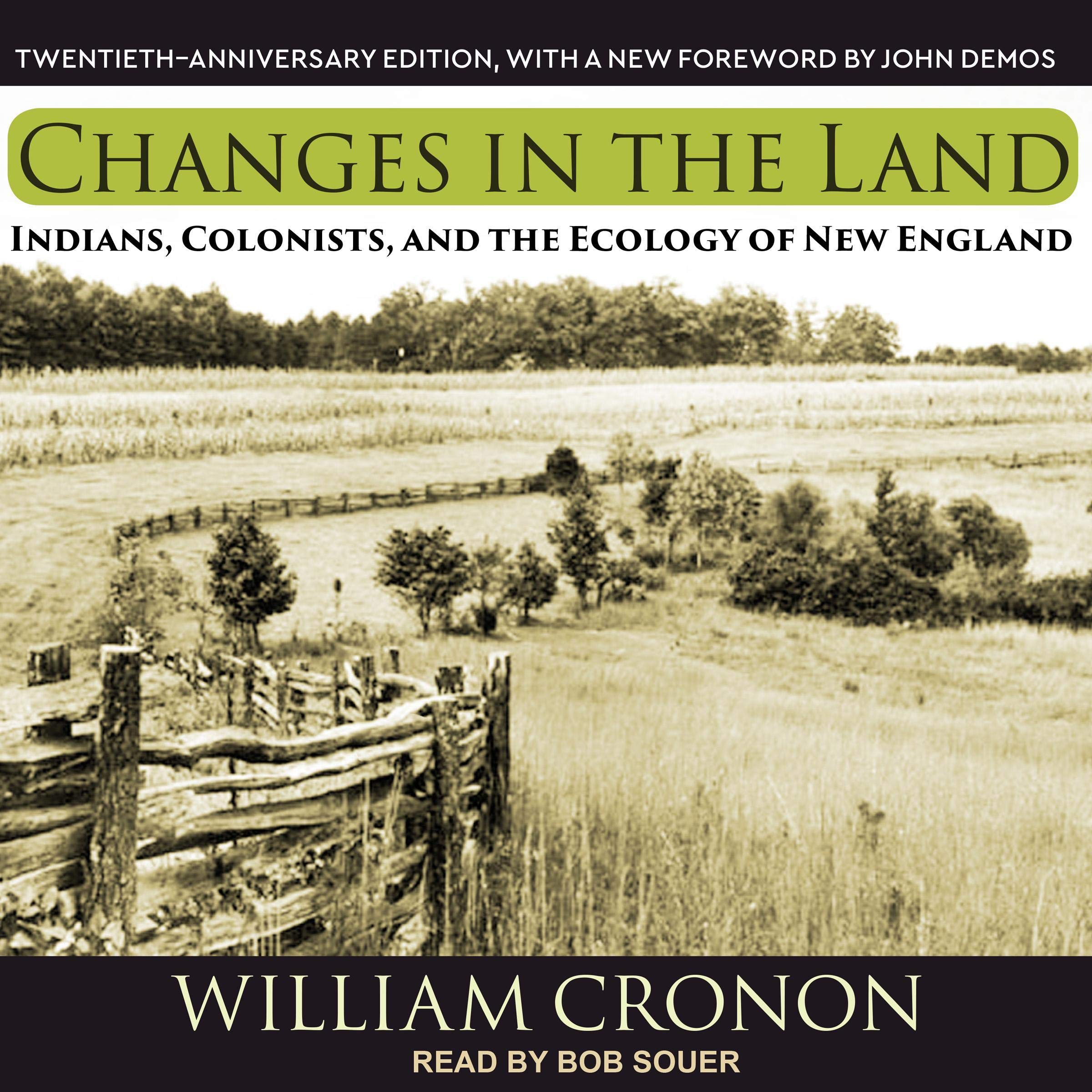 Cover art for Changes in the Land