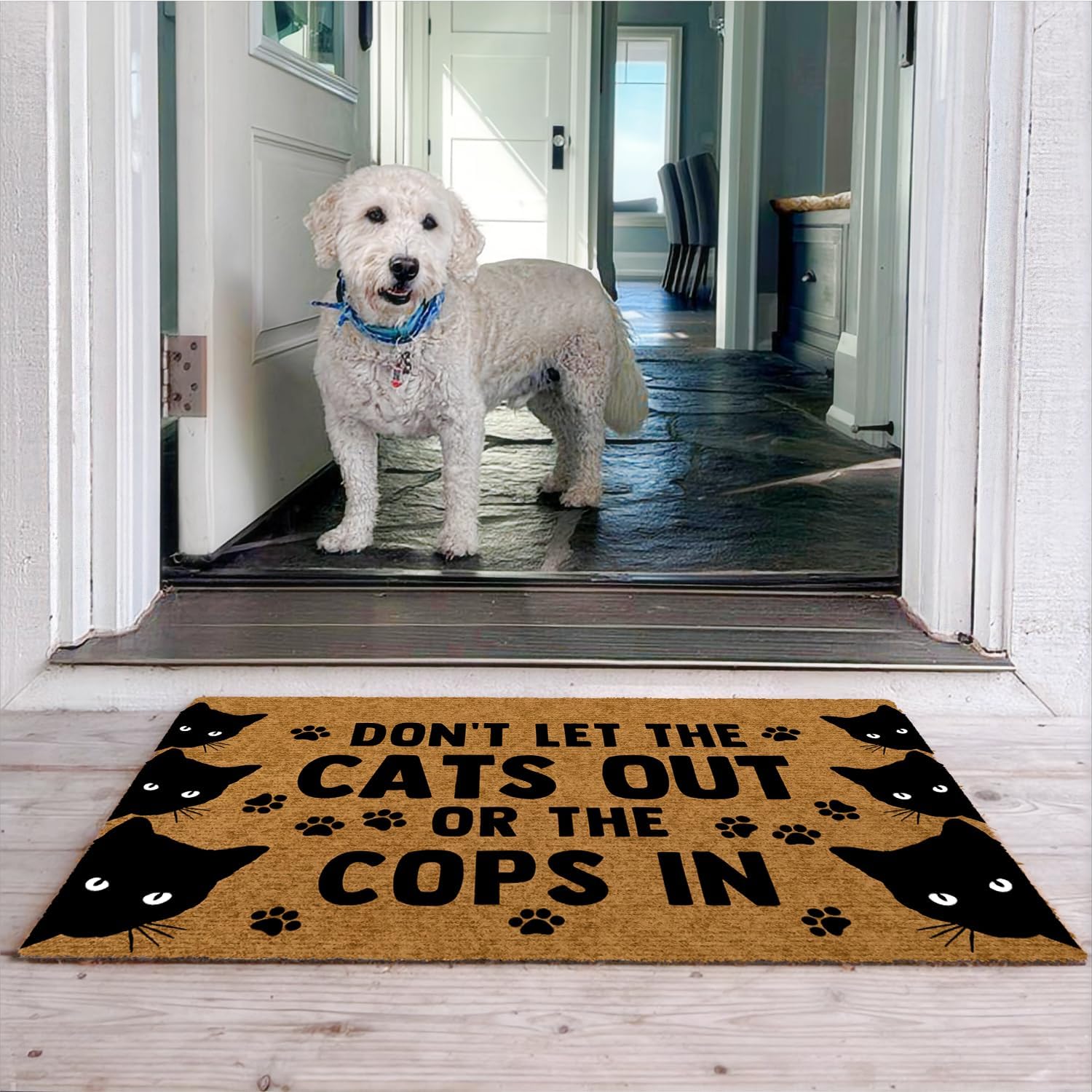 Dont Door Mat Indoor Entrance Front Door Rug Outdoor Rug with Non Slip Backing 23.5x15.7 Inch