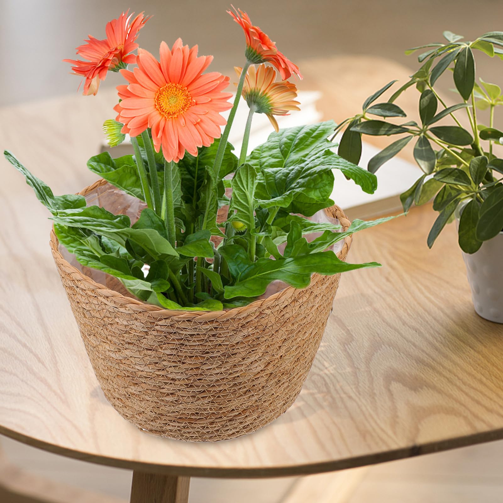 Veemoon Leichter Dekorativer Blumenkorb Großer Blumentopf aus Stroh 2 Stück mit Klassischem Gewebtem Design Rustikale Pflanzkörbe für Wohnzimmer und Hotel