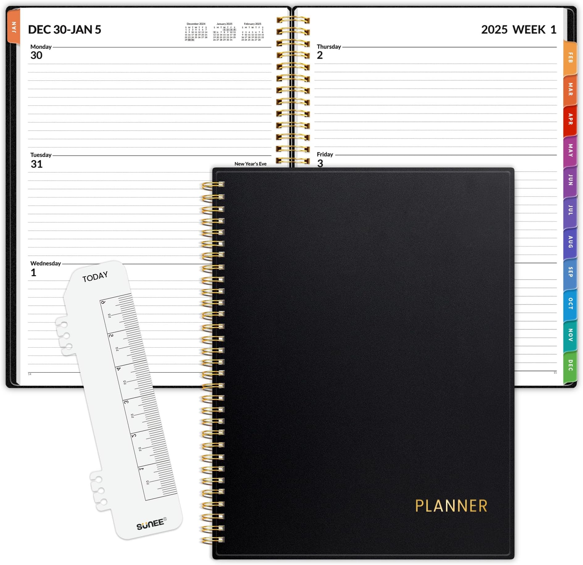 Blue Sky 2025 Weekly and Monthly Planner Calendar, January
