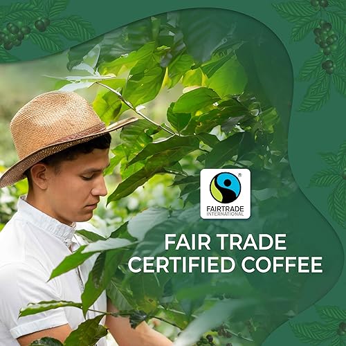 Miniatura 3 de Café de Costa Rica I Café especial de origen único I tostado medio molido I 1 bolsa (12 onzas) 11.99 oz I de Liquid Gold I 100% granos arábica