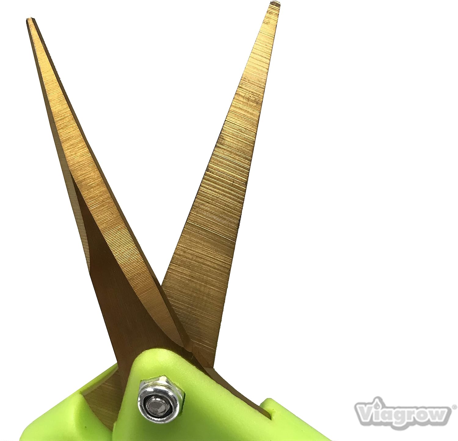 Bіg Sаlе Viagrow V388C-6 Curved Non Soft Grip Micro-Tip Pruning Snip with Stra, 6-Pack, Green