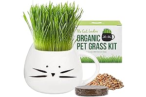 Organic Cat Grass Kit for Indoor Cats - Healthy Plant for Hairball...