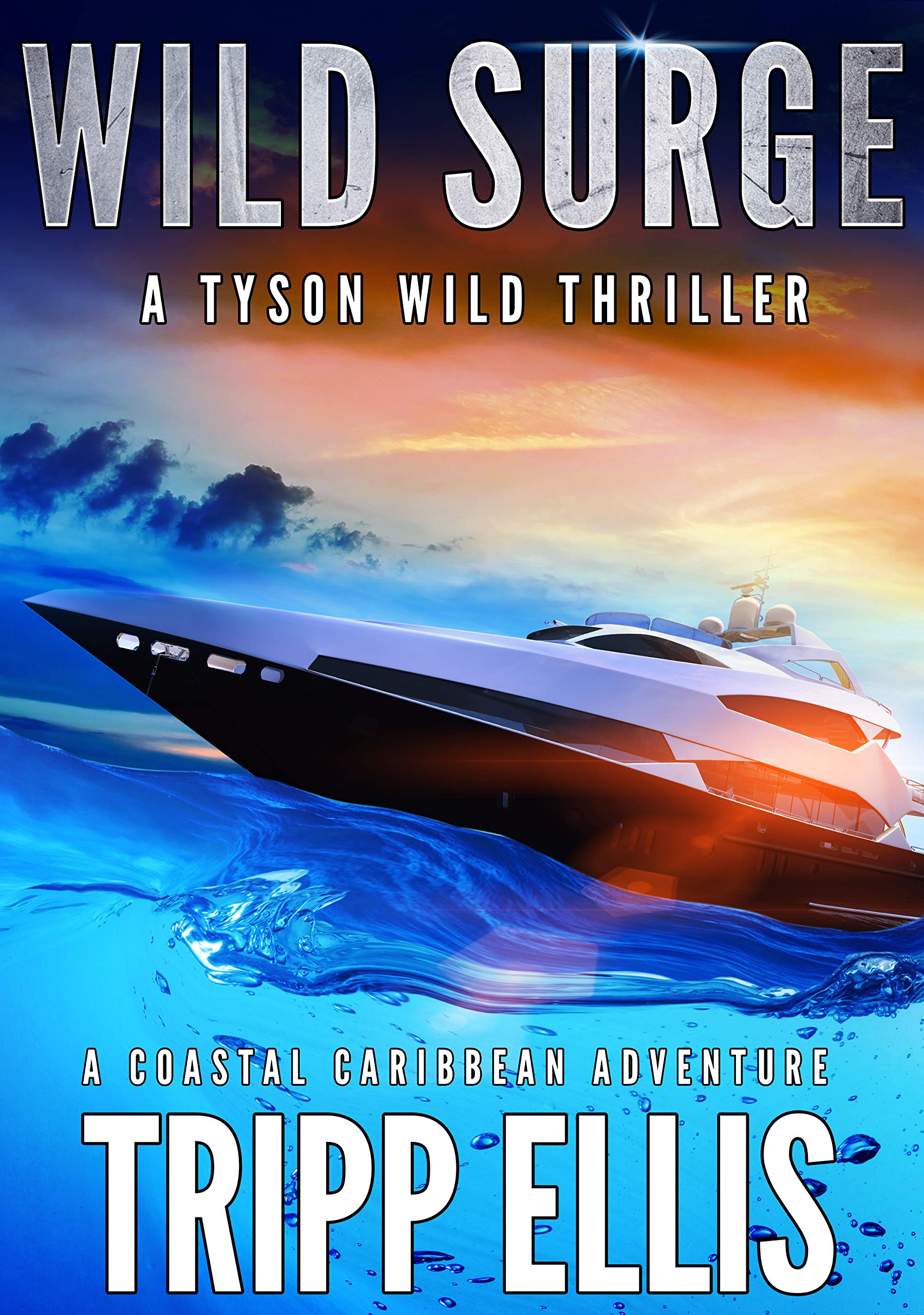 Wild Surge: A Coastal Caribbean Adventure (Tyson Wild Thriller Book 14)