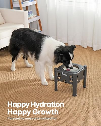 Miniatura 7 de Pawque Cuencos elevados de acero inoxidable de 80 onzas con soporte ajustable de plástico (3 alturas de 6.1 pulgadas, 7.7 pulgadas, 9.3 pulgadas),