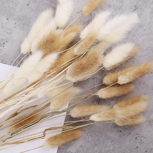 50 Pcs 17.7 Inches Lagurus Bunny Tails Pampas Grass Decor White Pink Artificial Rabbit Tails Dried Flowers Bouquet for Home Decor Boho Decor Table Decoration Room Bedroom Decor
