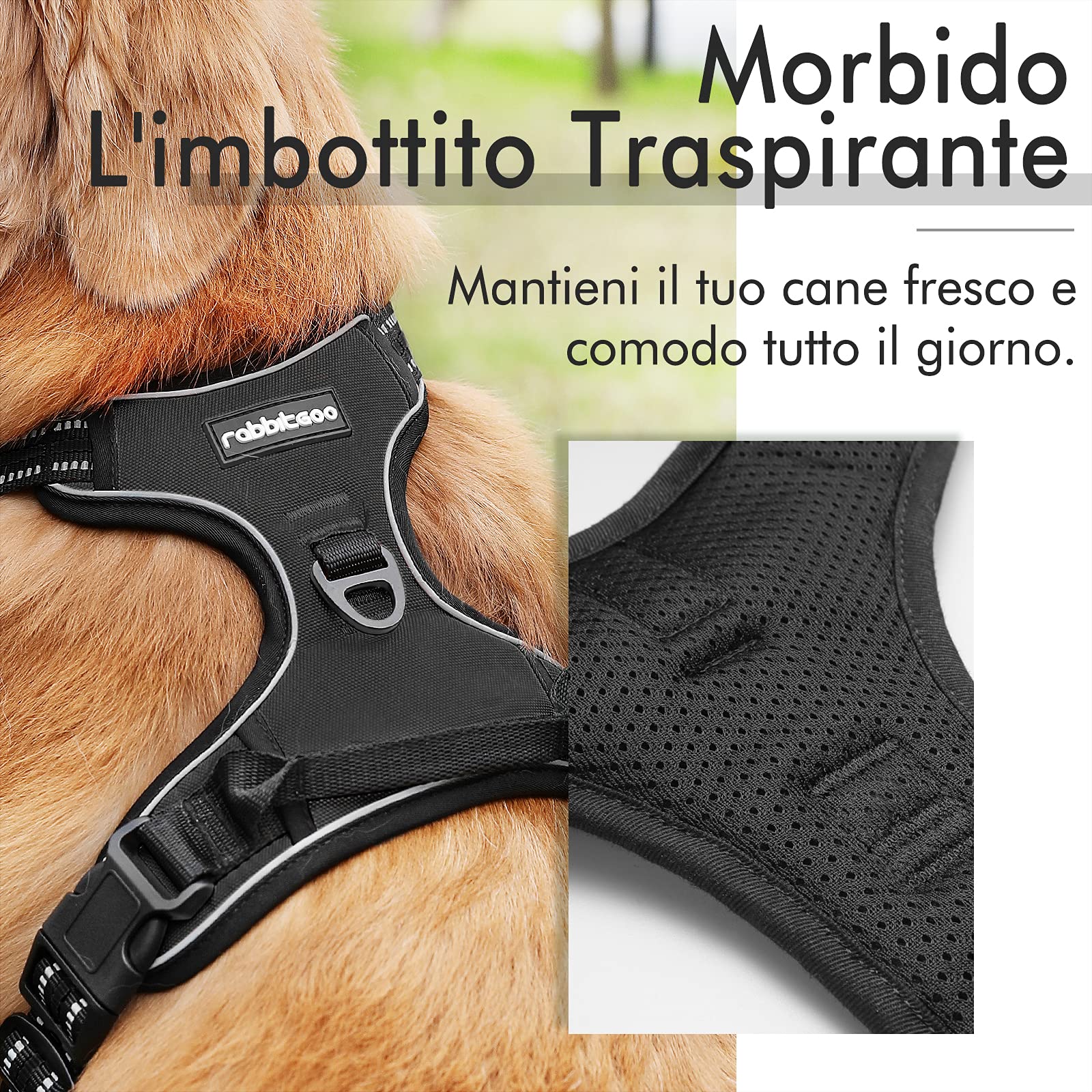 rabbitgoo Pettorina Cane Taglia Piccola, Pettorina Cane ad h Regolabile con 2 Ganci in Metallo, Imbracatura per Cani Anti Tiro Riflettente, Imbracatura Traspirante per Addestramento, Nero, XS