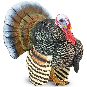 Safari Ltd. Turkey Figurine - Realistic 3" Pla