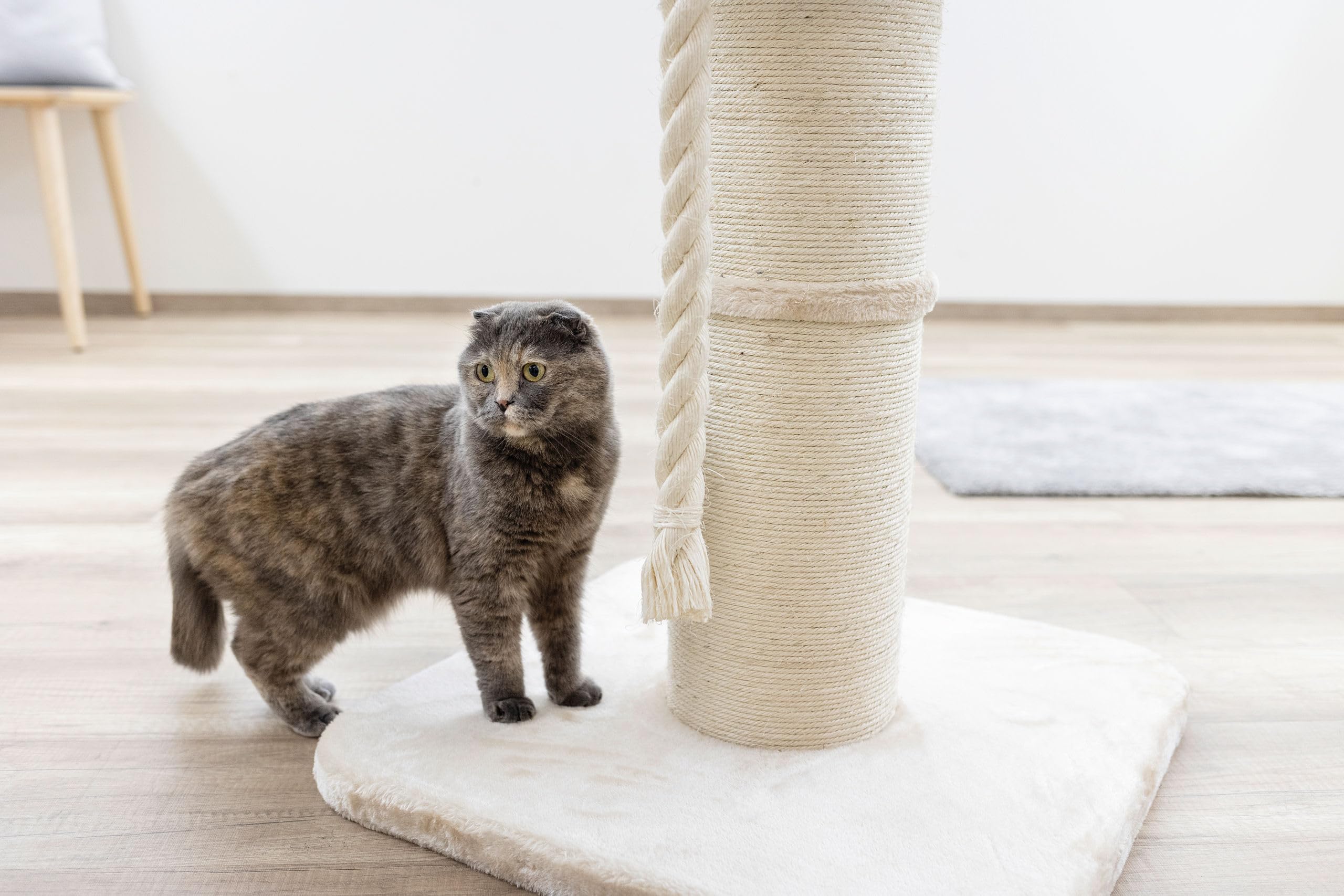 Kerbl Pet Árbol rascador Toni XL, rascador para Gatos, Beige, 58x58x93 cm, Estable y Resistente, para Gatos Maine Coon, rascador Robusto de sisal Natural