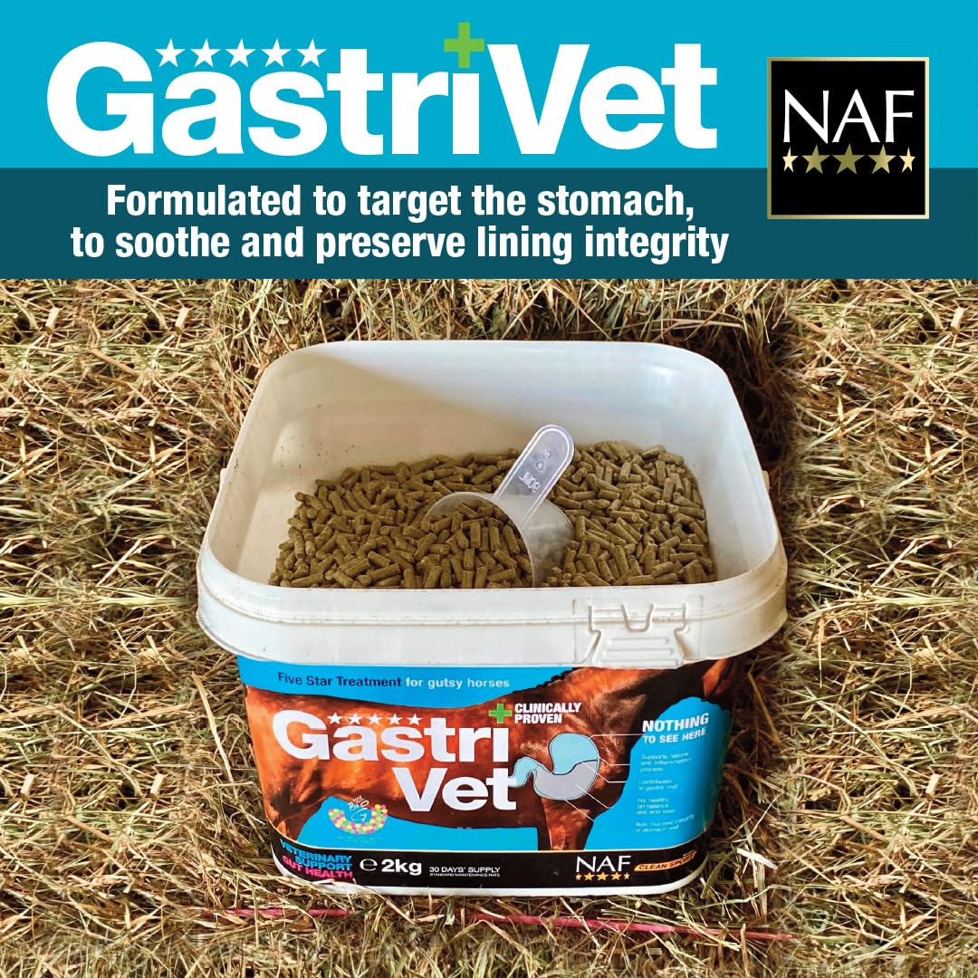 NAF Five Star GastriVet 4 kg – Fortschrittliche Magenunterstützung für Pferde – Enthält Präbiotika, Probiotika & Postbiotika – Zur Unterstützung der Magenschleimhaut & der Darmgesundheit