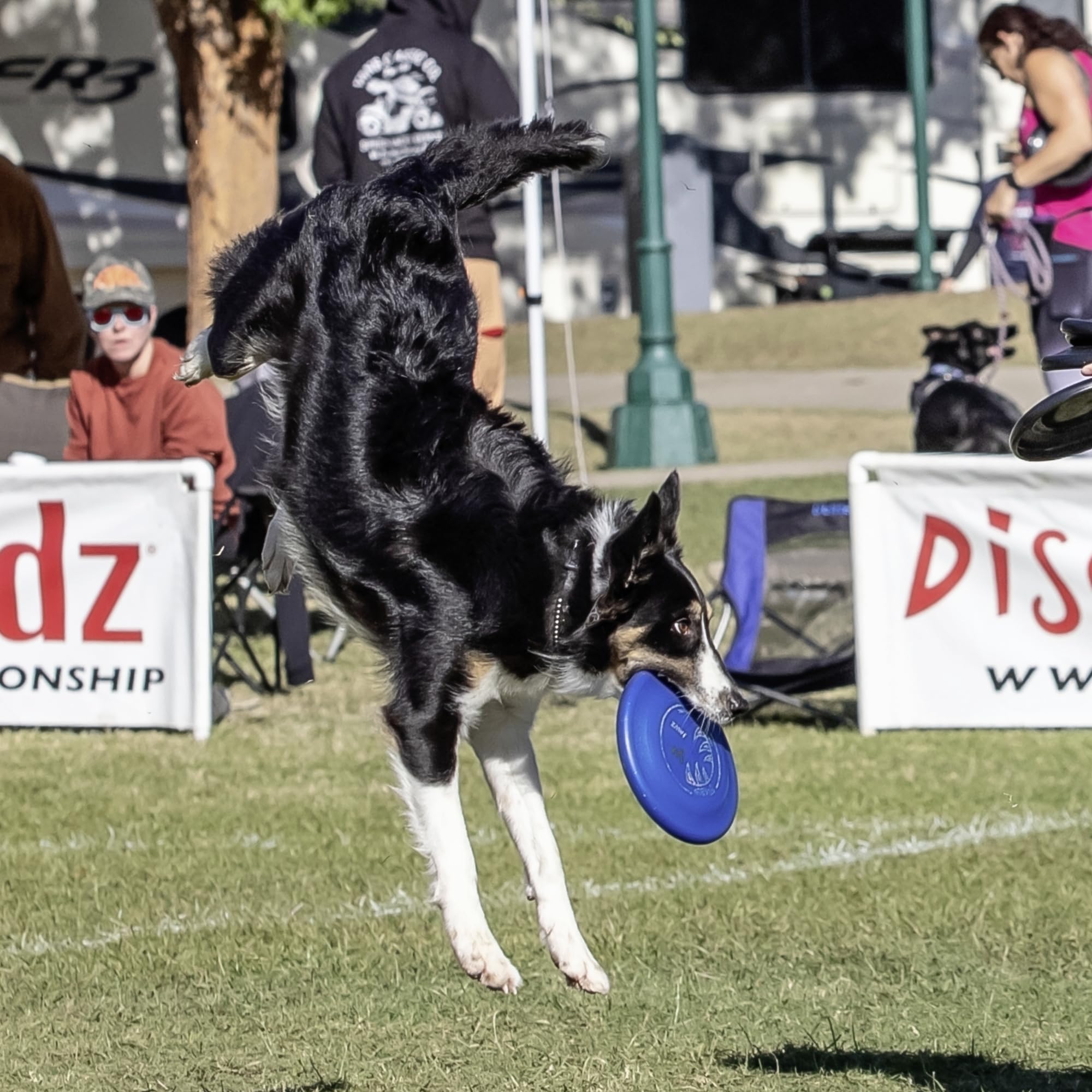 Hyperflite Perros Disco volador Jawz Resistente a las mordidas para el Perro Pequeño AZUL | Resistente a pinchazos, aprobado por la competencia | 7 pulgadas, 90 g | Perros pequeños | Azul