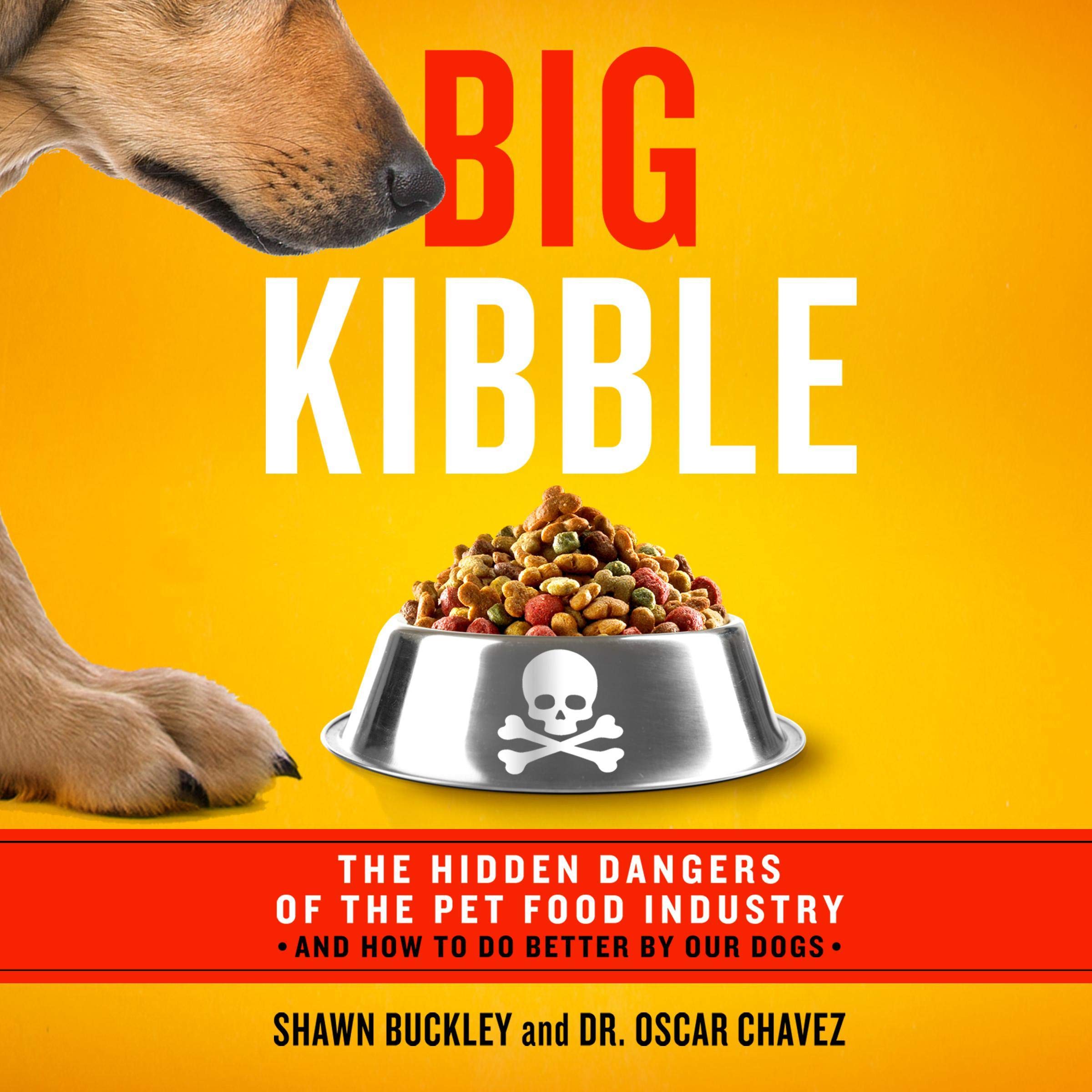 Cover art for Big Kibble