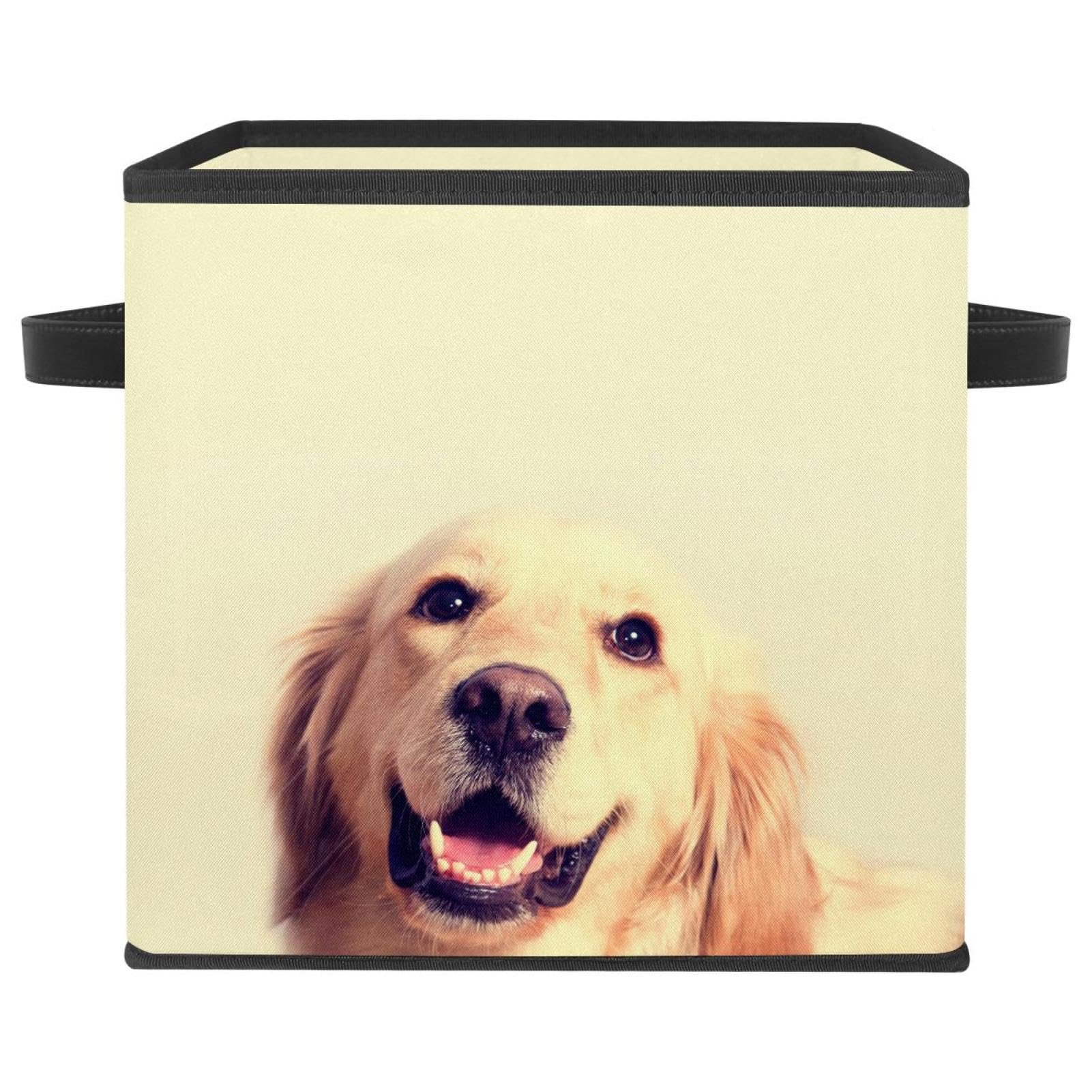 Boîte de rangement pliable motif Golden Retriever pour chambre et placard