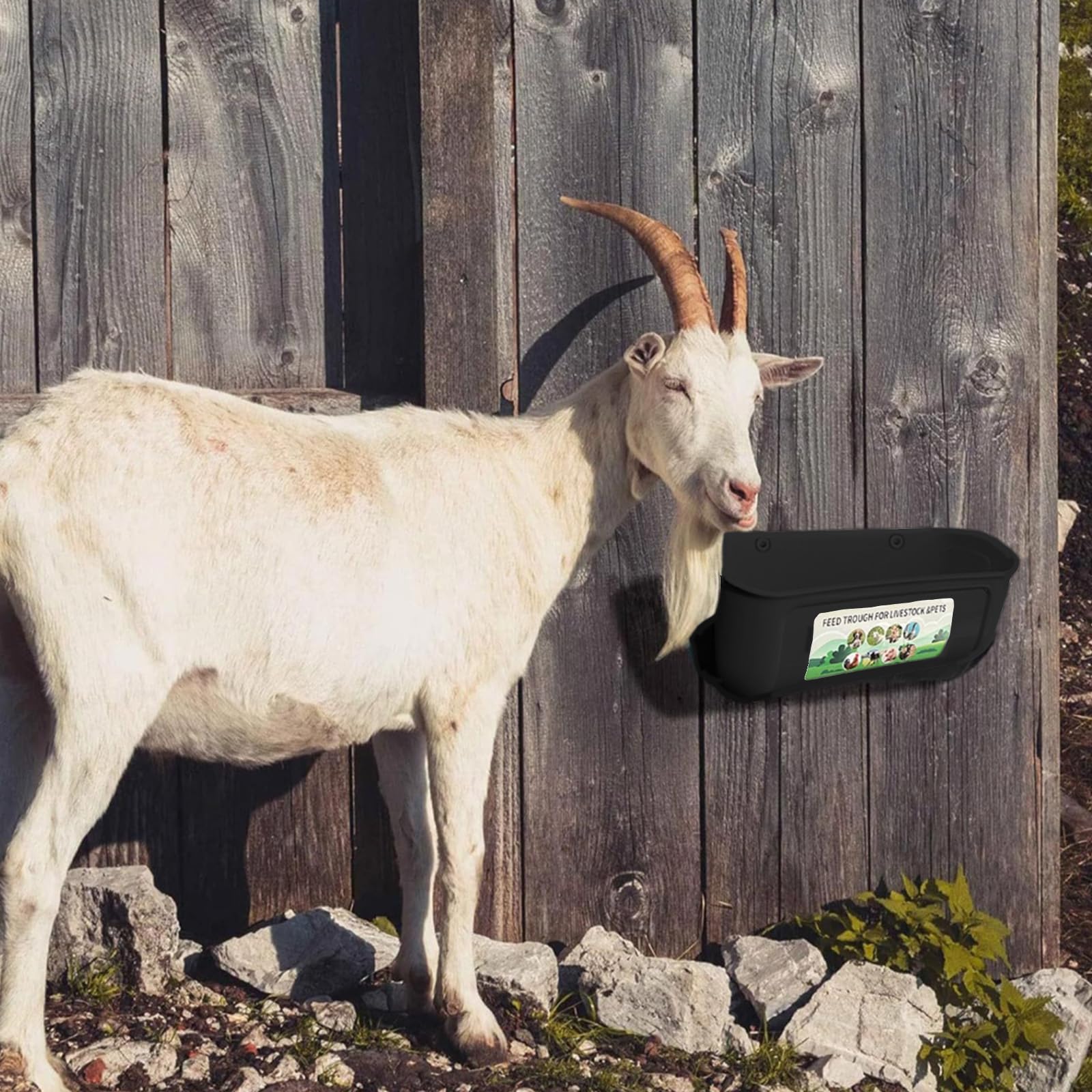 Comedero para aves de corral de ABS negro con clips, bridas para cables para jaula de pollo o comedero de pared para múltiples animales