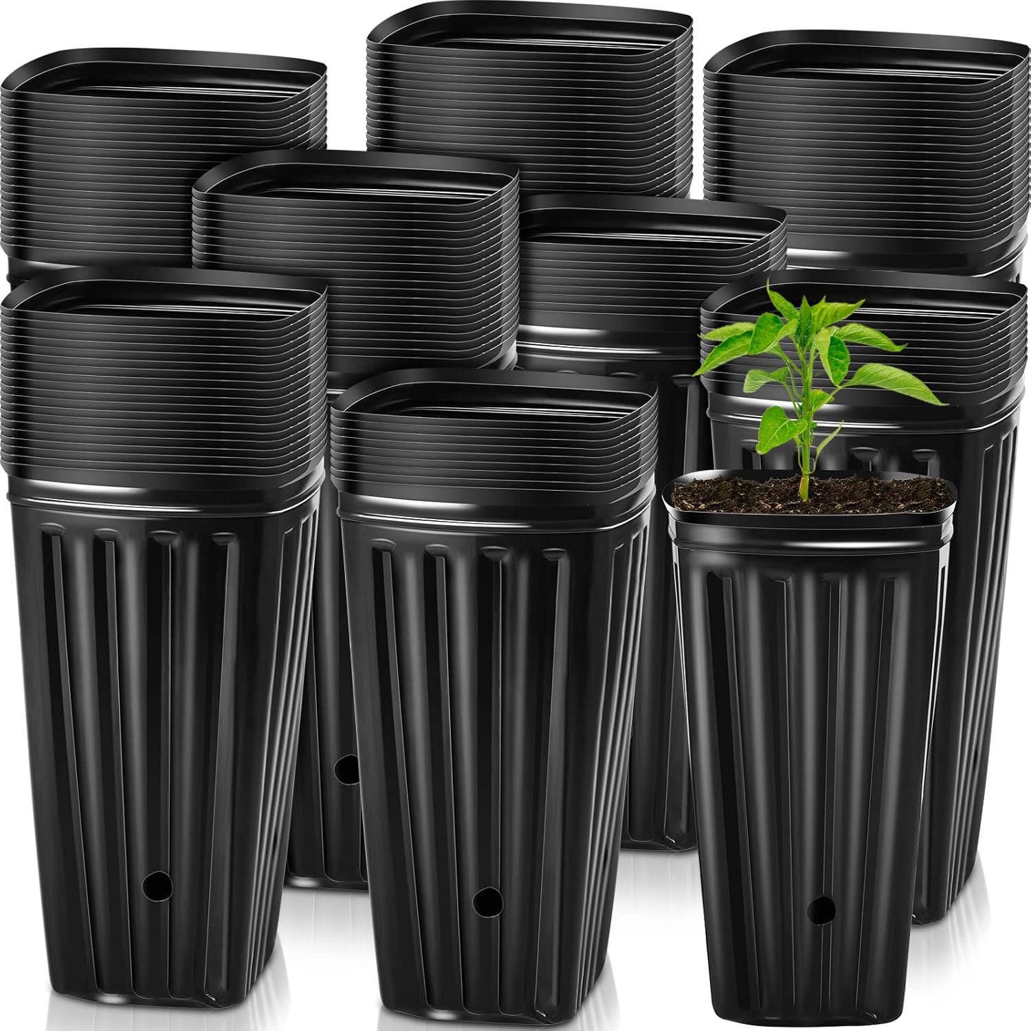 Tessco 100 Pcs 7.8 Tree Seedling Pots Tall Tree Pots