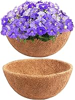 Vista 18 de Y&M Juego de 2 cestas colgantes de fibra de coco preformadas de 10 pulgadas, forro de repuesto de coco, 2P