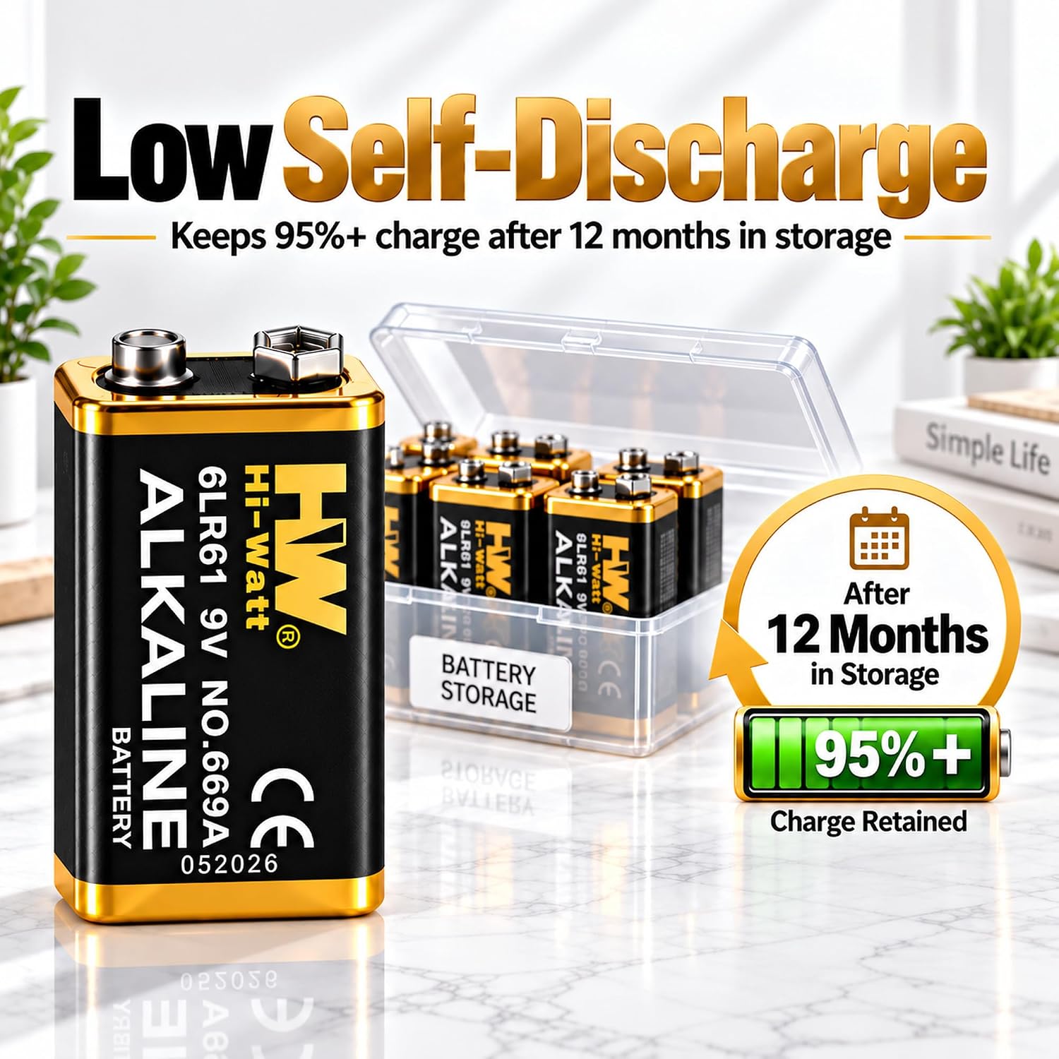 HW 9 Volt Alkaline Batteries Low self-Discharge 8 Pack for Radio Equipment