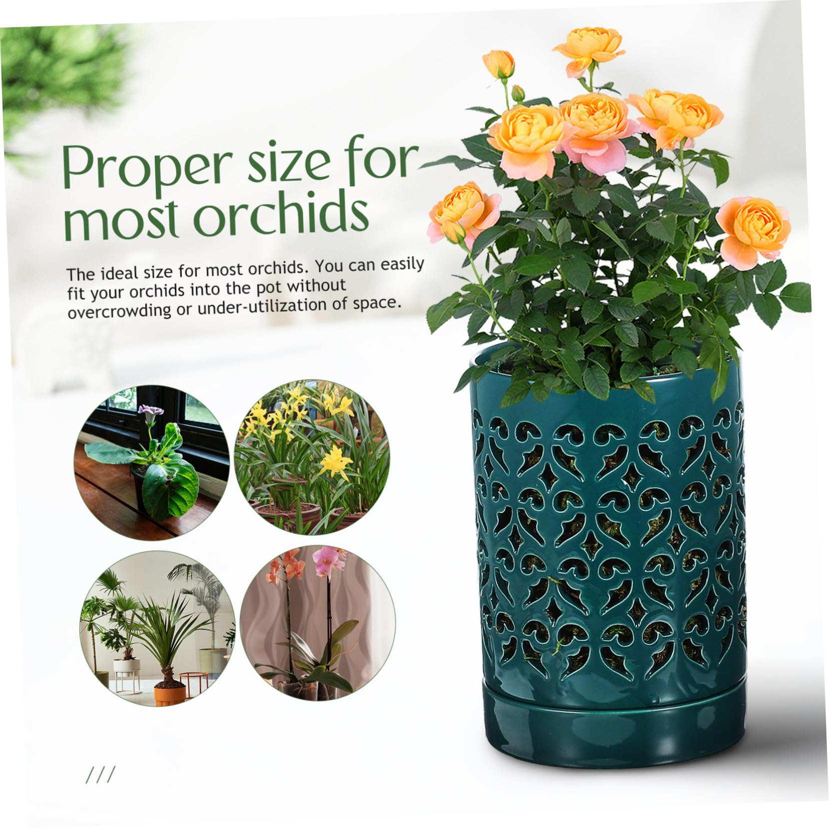 Artibetter Pot à Orchidées avec Trous et Coupelle en Céramique Ajourée Facile à Utiliser Résistant à l'usure pour Plantes D'intérieur et Jardinage