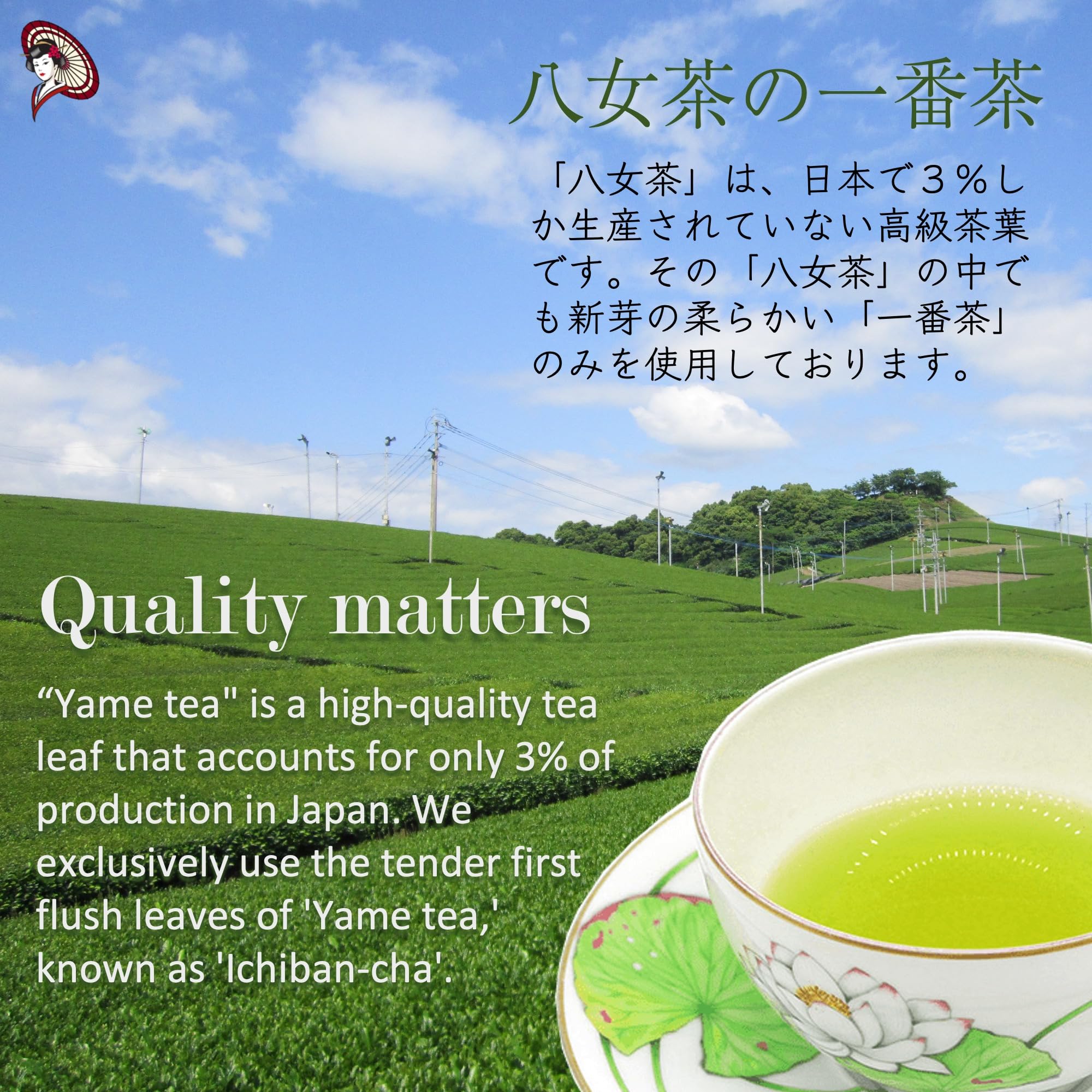 1kg Dreaming Ryokucha Premium Yamecha Yame tea Sencha Japanese Green Tea Loose Leaves — view 3