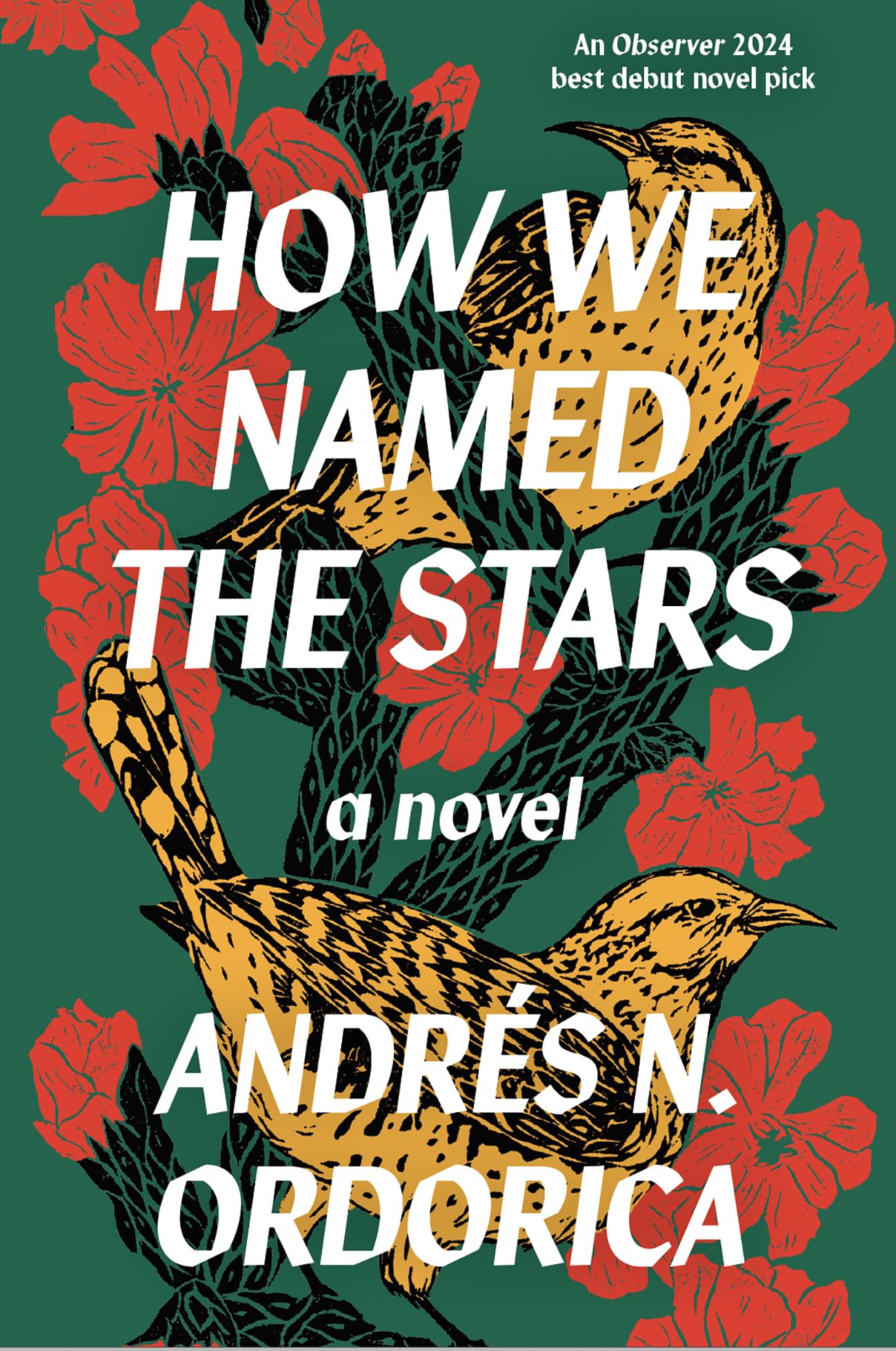 How We Named the Stars by Andres N. Ordorica (Paperback Book)