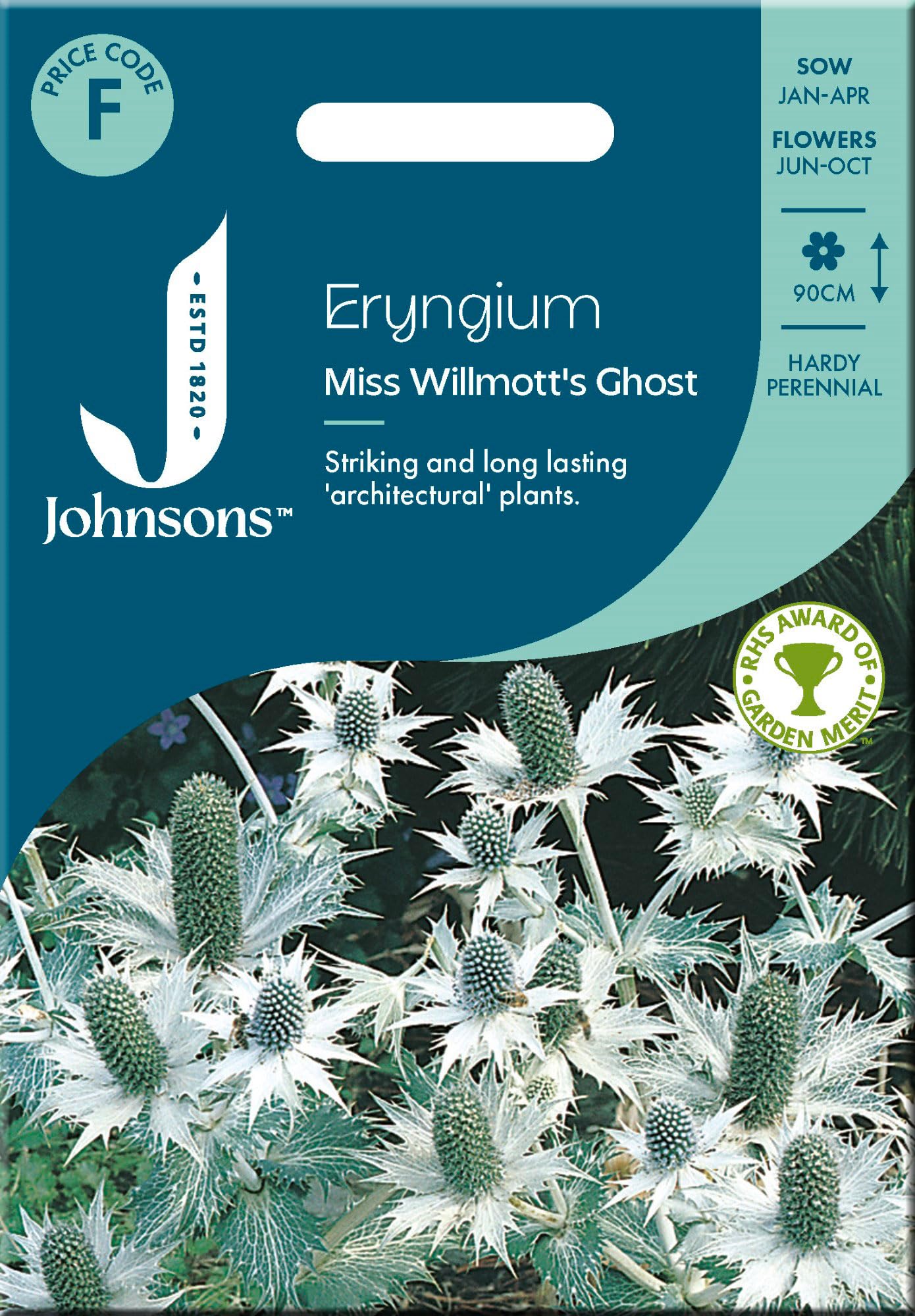 Johnsons Eryngium Seeds Miss Willmotts Ghost