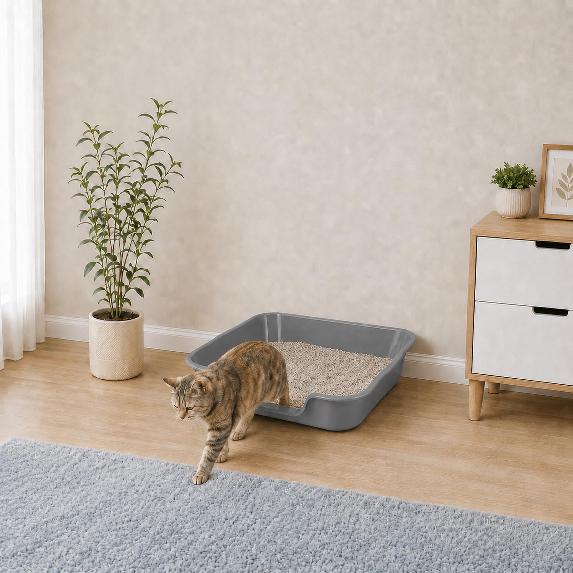 1 Packung extra große Katzentoilette (ABS-Material), niedriger Einstieg, Seniorenklo für geriatrische Kätzchen, große Katzen, Jumbo-Haustiersichere Katzentoilette, Tablett für