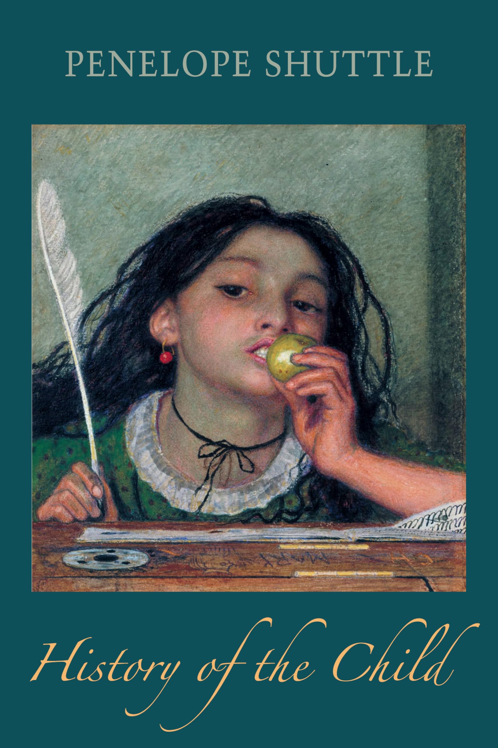 History of the Child by Penelope Shuttle (Paperback Book)