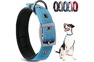 Neoprene Padded Reflective Dog Collar: Safety, Comfort, and Durability for Your Canine Companion