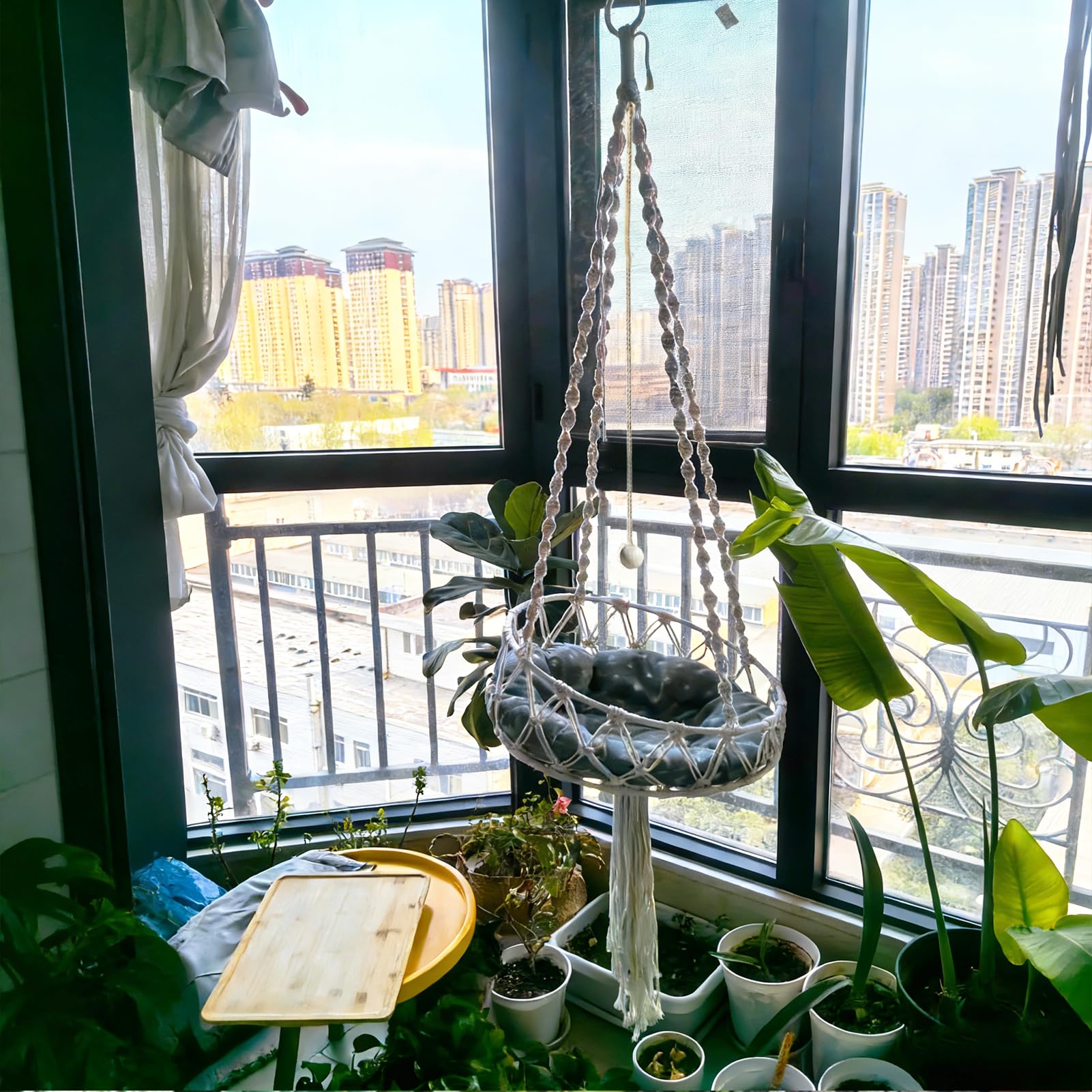 View 3