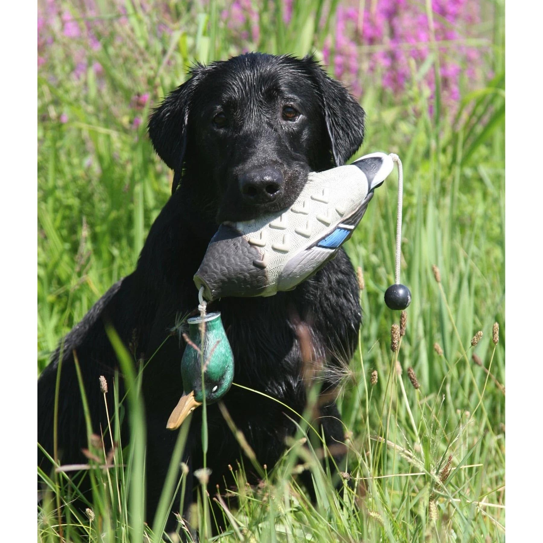 Avery Sporting Dog EZ-Bird, Stockente, Douleur à rapporter, Jouet pour Chien, entraînement pour Chien, Flottant, env. 28 x 15 x 9 cm.