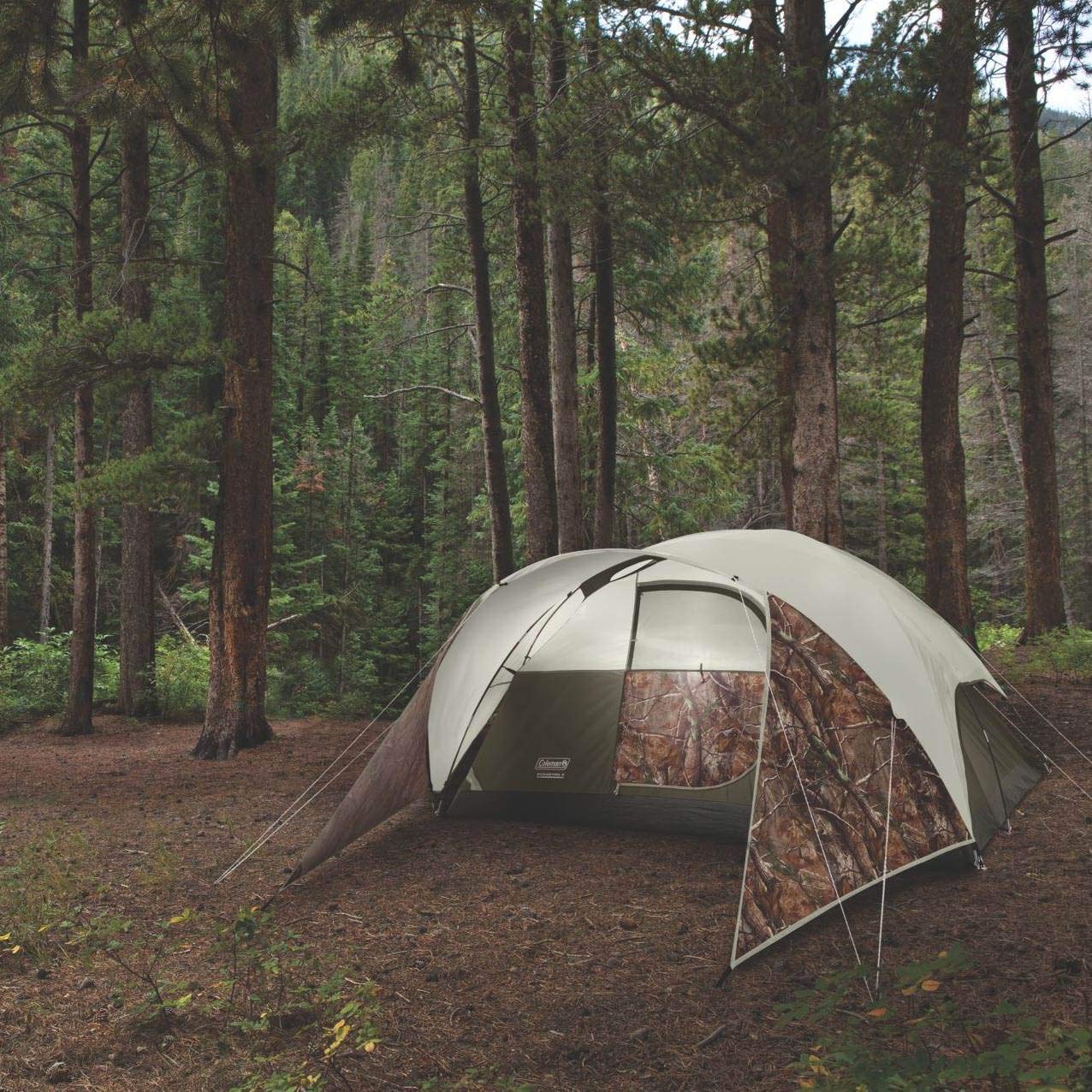 Coleman 4人用 Evanston テント Amazon.co.jp: Coleman コールマン USモデル SCREENED 4-PERSON