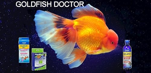Goldfish Doctor