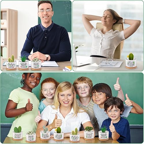 Miniatura 5 de 6 piezas de regalos de agradecimiento para profesores, regalos para el mejor maestro, maceta divertida para suculentas con bandeja de bambú, macetas