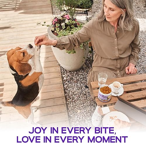 Miniatura 6 de Golosinas calmantes naturales para perros, aceite calmante de raíz de valeriana, cúrcuma, Ashwagandha para un buen comportamiento + salud de cadera