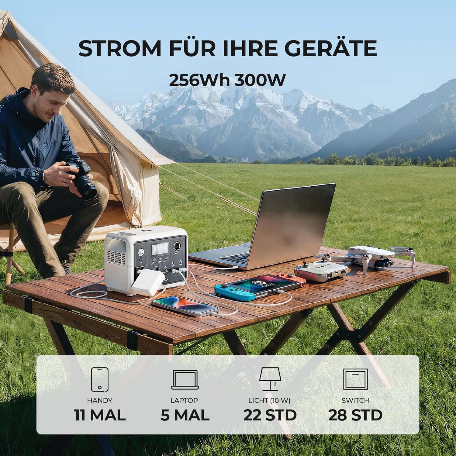 Dyness Power Station portatile da 300 W, batteria LiFePO4, presa elettrica portatile, 256 Wh, con 6 uscite e 4 opzioni di ricarica, alimentazione di emergenza per campeggio, camper, viaggi e emergenze