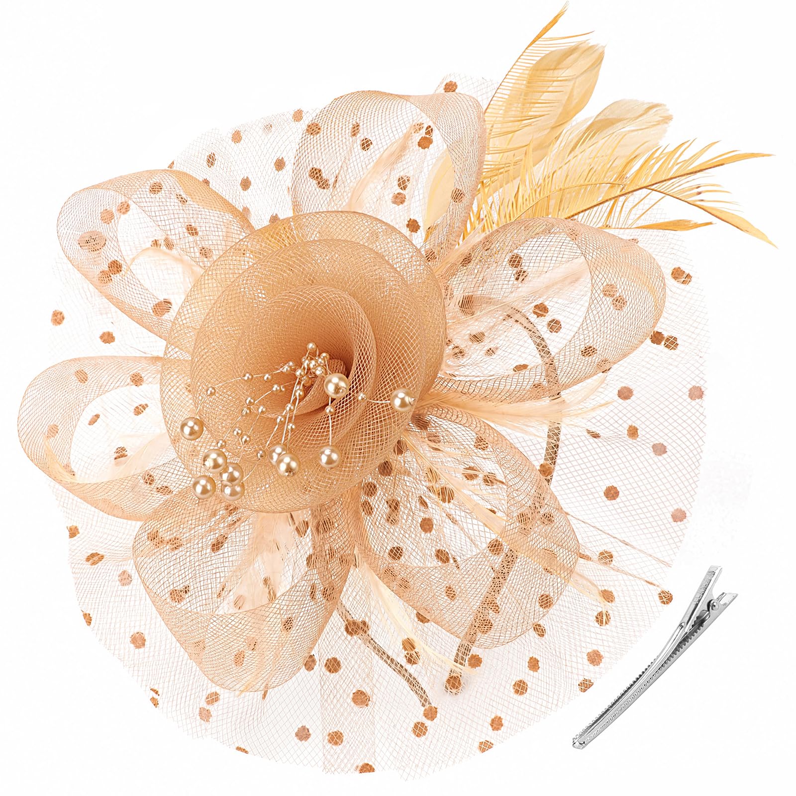 DRESHOW Fascinators Hat Flower Mesh Ribbons Feathers on a Headband and a Clip Tea Party Headwear for Girls and Women