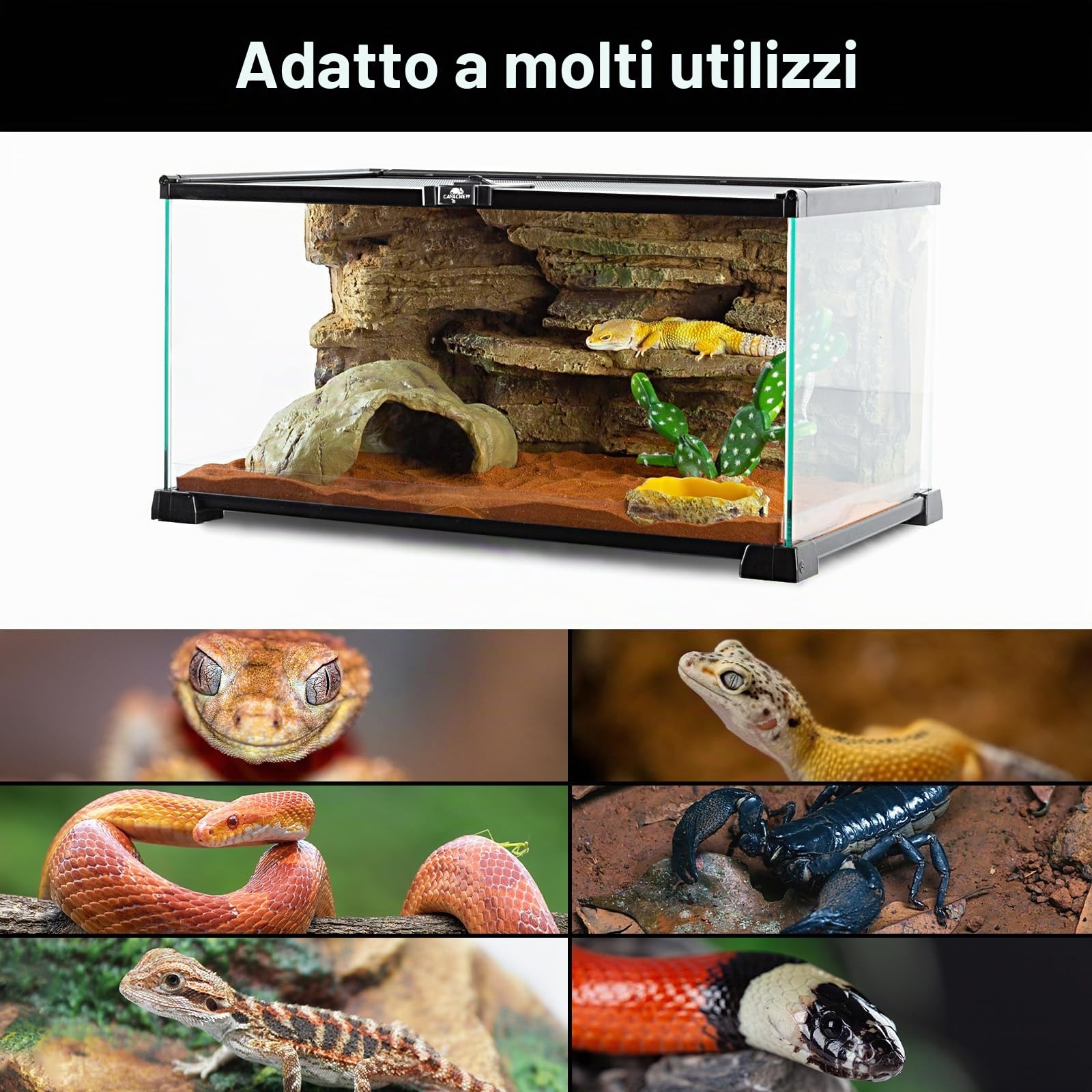 Terrari per rettili e anfibi, terrario 50 x 30 x 20 cm, terrario in vetro per tartarughe, barbagame, criceti, ventilazione superiore a 360°