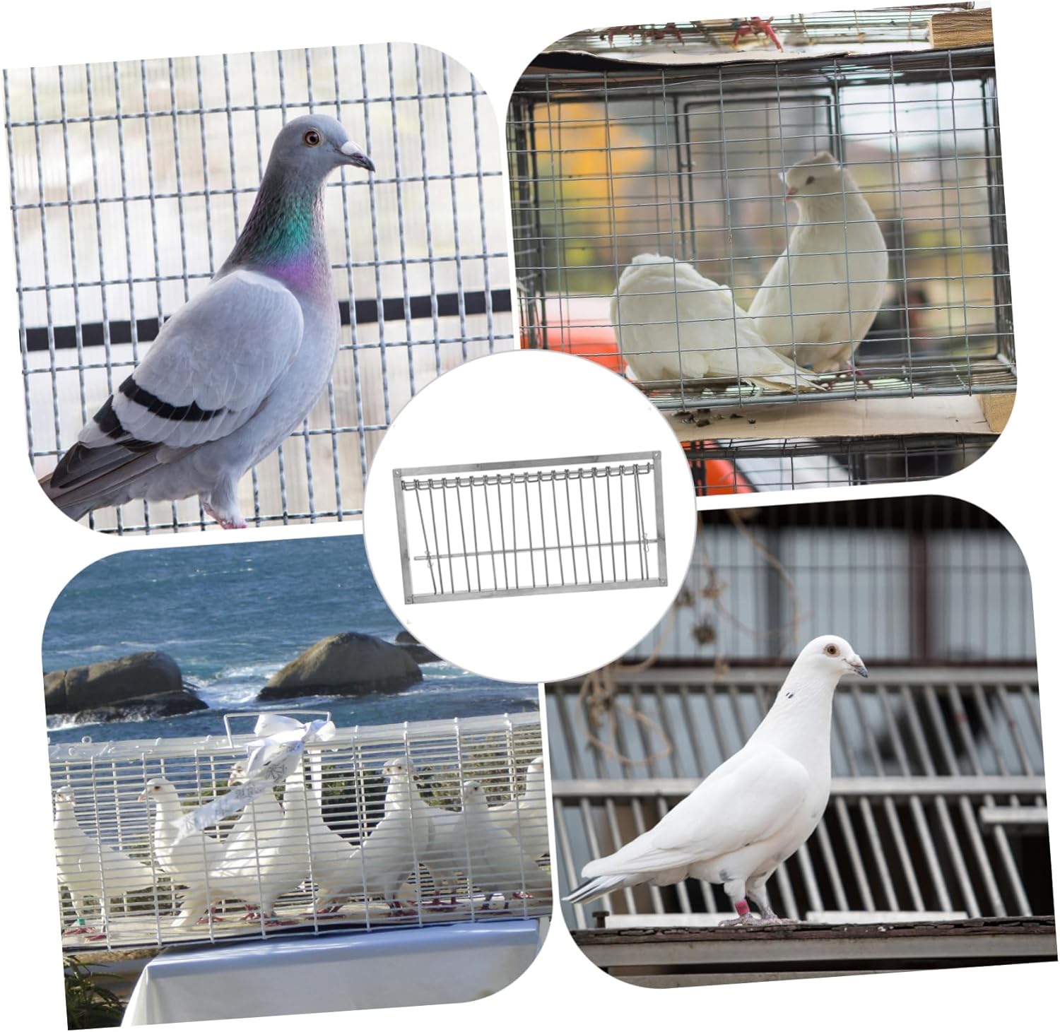 TOYANDONA Pigeon Door for Bird Cage Adjustable Pigeon Cage Entrance Sturdy Design for Easy Installation