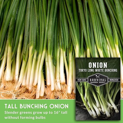 Miniatura 3 de Survival Garden Seeds - Semilla de cebolla blanca larga de Tokio para plantar - 5 paquetes con instrucciones para plantar y cultivar cebollas verdes