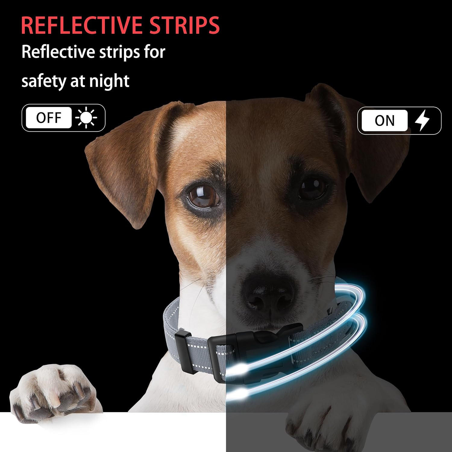 Reflective Dog Collar with Safety Locking Buckle (Collar+Leash) image 5