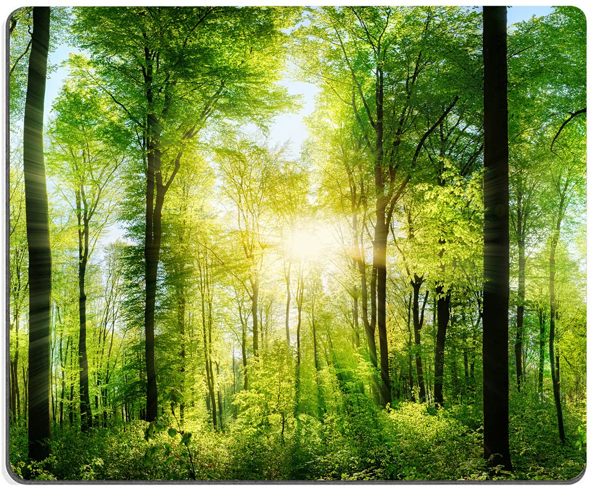 Scenic Forest Mouse Pad, Fresh Green Deciduous Trees Mouse Pad, Personalized Mouse Mat Square Waterproof Mouse Pad Non-Slip Rubber Base MousePads for Office Home Laptop Travel, 9.5"x7.9"x0.12" Inch