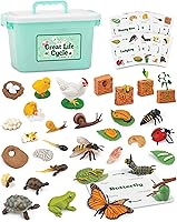 GLINGLOG Life Cycle Animal Kit: 32-Piece Montessori STEM Toy with Frog, Butterfly, Bee, Ladybug & More - Matching Game for Kids 3-8