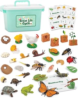 GLINGLOG Life Cycle Animal Kit: 32-Piece Montessori STEM Toy with Frog, Butterfly, Bee, Ladybug & More - Matching Game for Kids 3-8