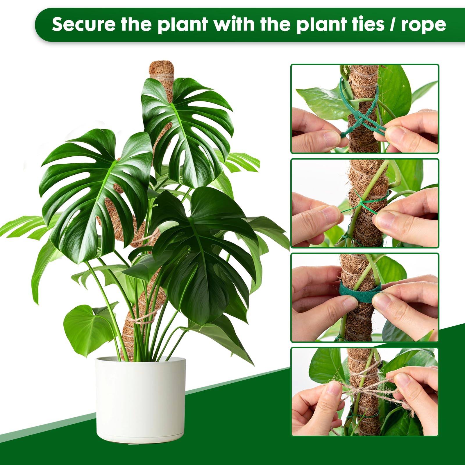 Set da 10 Bastoncini in Fibre di Cocco, Canne Flessibili, Supporto per Piante Rampicanti, H: 60 cm, Naturale, Relaxdays | Leroy Merlin