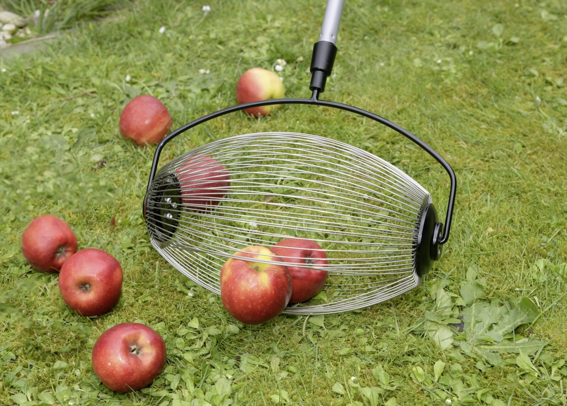 Maximex Gartengerät Rollsammler mit Teleskopstiel für effiziente Obstsammlung aus Edelstahl für Garten Schwarz Silber Grau 34 x 83-148 x 18.5 cm