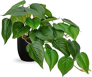 DILATATA Fake Plants Indoor 8 Inch Artificial Pothos Plant in Black Plas...